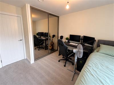 Picture 12